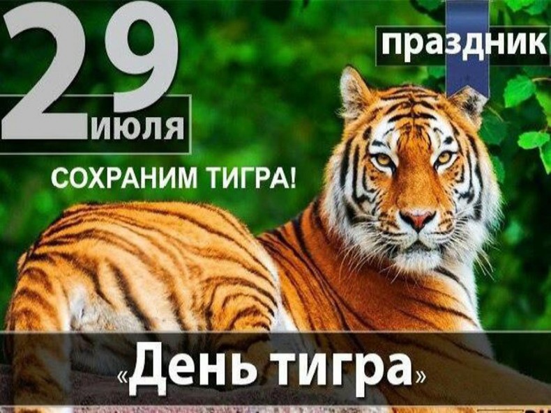 Международный день тигра